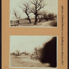 Queens: Colonial Avenue - Nassau Boulevard