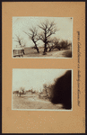 Queens: Colonial Avenue - Nassau Boulevard