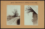 Queens: Colonial Avenue - Nassau Boulevard