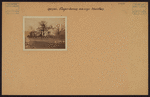 Queens: Cooper Avenue - 72nd Place
