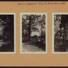 Queens: Douglaston Parkway - Horace Harding Boulevard