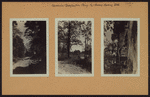 Queens: Douglaston Parkway - Horace Harding Boulevard