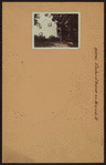 Queens: Elmhurst Avenue - Macnish Street