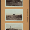 Queens: Grand Central Parkwa - Corona Avenue