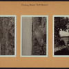 Queens: Flushing Meadow Park - [Roosevelt Avenue - Northern Boulevard.]