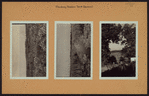 Queens: Flushing Meadow Park - [Roosevelt Avenue - Northern Boulevard.]