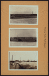 Queens: Willets Point Boulev - Pilgrim Avenue