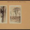 Queens: Home Lawn Street - Charlecote Ridge