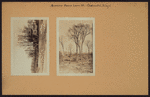 Queens: Home Lawn Street - Charlecote Ridge