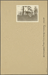 Queens: Jamaica Avenue - 220th Street