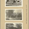 Queens: Kissena Boulevard - Mulberry Avenue