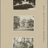Queens: Kissena Boulevard - Sanford Avenue