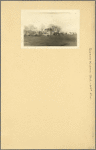 Queens: Kissena Boulevard - 64th Avenue