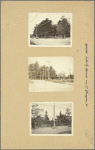 Queens: Liberty Avenue - Pinegrove Street