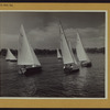 Queens: Little Neck Bay - [Yachting.]