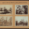 Queens: Macnish Street - Elmhurst Avenue