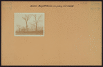 Queens: Maspeth Avenue - 53rd Street