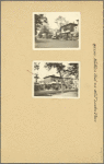 Queens: Northern Boulevard - Linden Place