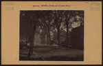 Queens: Northern Boulevard - Main Street