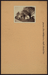 Queens: Three Mill Road - South Conduit Avenue