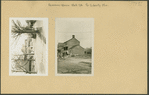 Queens: Union Hall Street - Liberty Avenue