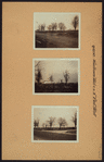 Queens: Woodhaven Blvd - Fleet Street