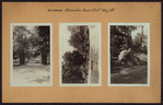 Richmond: Alexandre Drive - Bay Street