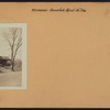 Richmond: Annadale Road - Lamoka Boulevard