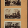 Richmond: Arthur Kill Road - Clarke Avenue