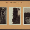 Richmond: Arthur Kill Road - Johnson Avenue