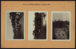 Richmond: Arthur Kill Road - Johnson Avenue
