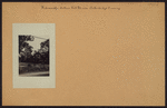 Richmond: Arthur Kill Road - 188th Street (East)