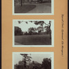 Richmond: Barrett Park - [Barrett Park Menagerie.]