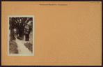 Richmond: Bay Street - Lyman Avenue