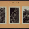 Richmond: Clinton Avenue - Henderson Avenue