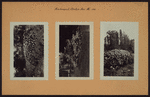 Richmond: Clinton Avenue - Henderson Avenue