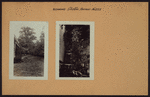 Richmond: Clinton Avenue - Henderson Avenue