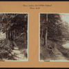 Richmond:] Staten Island - Clove Lakes Park - [View of walk path skirting Clove Lake.