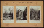 Richmond: Staten Island - Clove Lakes Park - Brook's Falls.