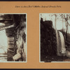Richmond: Staten Island - Clove Lakes Park - Brook's Falls.