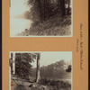 Richmond: Staten Island - Clove Lakes Park - Clove Lake.