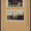 Richmond: [Staten Island] - Clove Lakes Park - Martling's Falls.