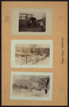 Richmond: [Staten Island] - Clove Valley.