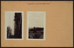Richmond: Staten Island - Dongan Hills - Linden Park.