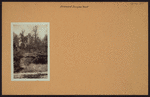 Richmond: Douglas Road - 170th Street