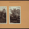 Richmond: Douglas Road - Emerson Avenue