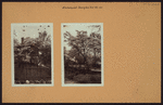 Richmond: Douglas Road - Emerson Avenue