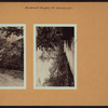 Richmond: Douglas Road - 170th Street