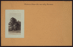 Richmond: Eagan Avenue - Victory Boulevard