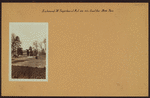 Richmond: Fingerboard Road (We - Grant Avenue